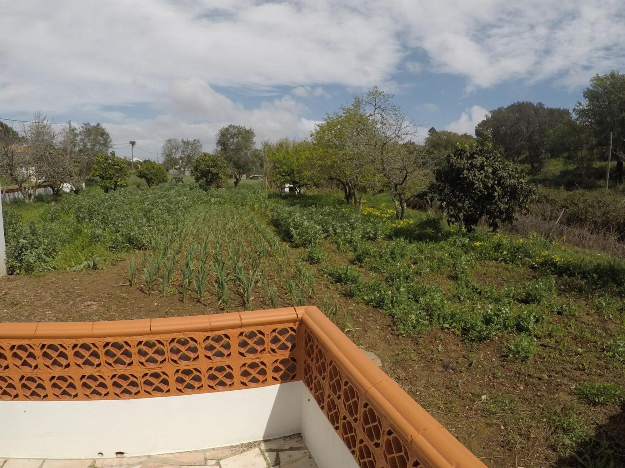 Casa Do Henrique Villa São Luis Eksteriør billede